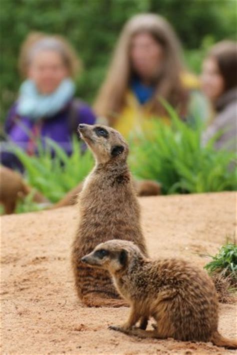 Nuremberg Zoo - 2018 All You Need to Know Before You Go (with Photos) - TripAdvisor