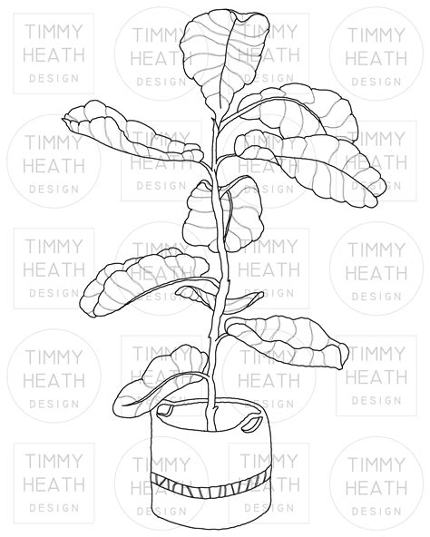 Fiddle Leaf Fig in Woven Basket Outline Botanical Plant Art - Etsy in 2023 | Raster image, How ...