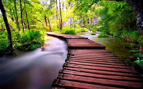 Wooden Path HD Wallpapers THIS Wallpaper | Plitvice national park, National park photos ...