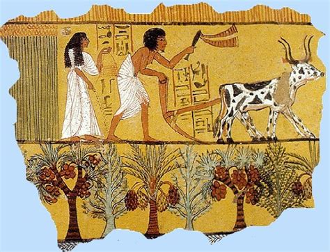 Farming in Ancient Egypt for kids