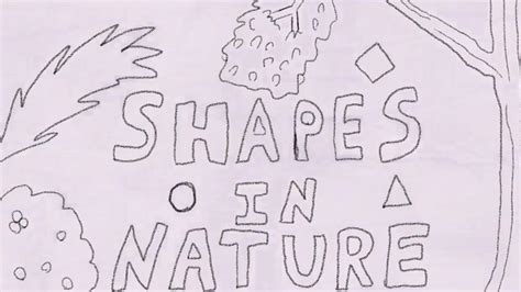 Shapes In Nature For Kids