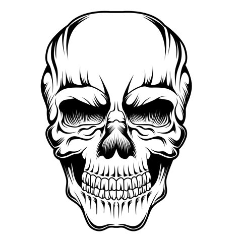 skull tattoo vector illustration 7721281 Vector Art at Vecteezy