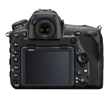 Best DSLR Cameras (Updated 2021)