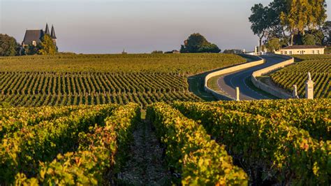 Bordeaux Wine Tours - Bordeaux Left Bank Private Wine Tour - Context ...