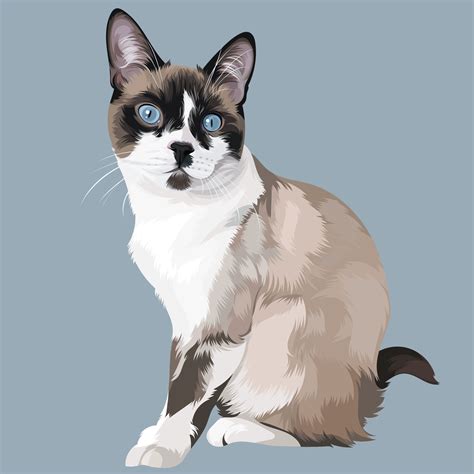 Siamese Cat Illustration by Vector Pets | Pet Portraits from your ...