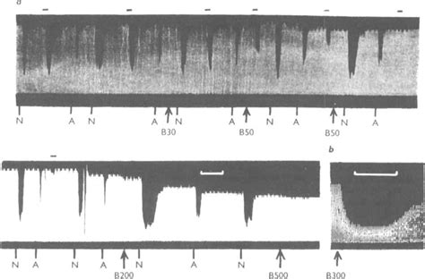 THE ACTIONS OF BRETYLIUM: ADRENERGIC NEURONE BLOCKING AND OTHER EFFECTS - BOURA - 1997 - British ...