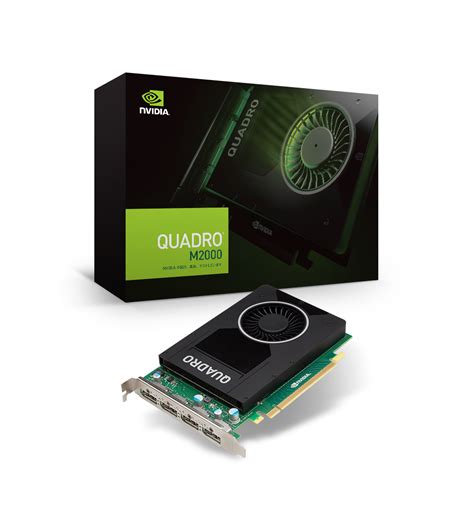 Fashion flagship store more choice, more savings Nvidia Quadro M2000 ...