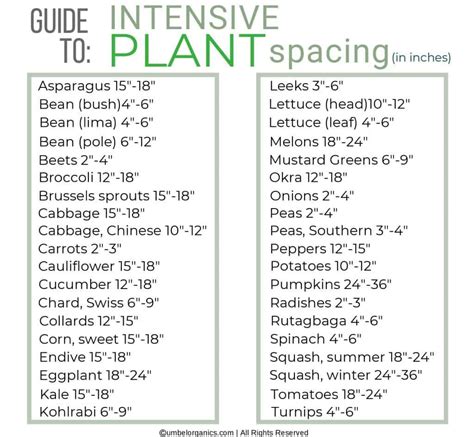 PRINTABLE! Seed Planting Spacing Cheat Sheet, 51% OFF