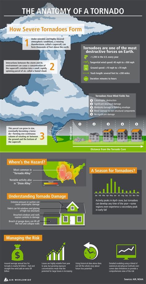 The Anatomy of a Tornado | Weather science, Fun science, Weather and climate