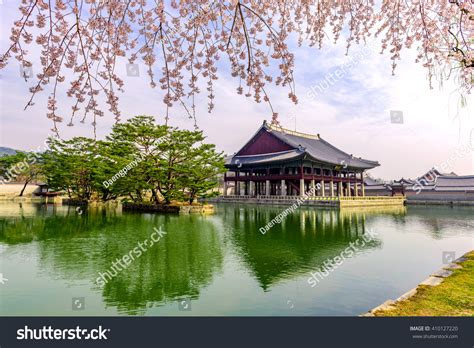 Gyeongbokgung Palace Cherry Blossom Spring Korea Stock Photo (Edit Now ...