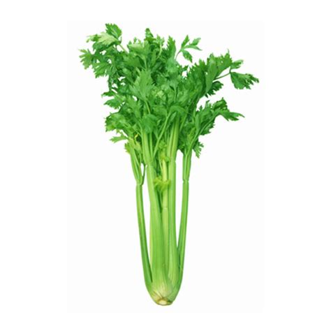 Celery — Farm to Doorstep