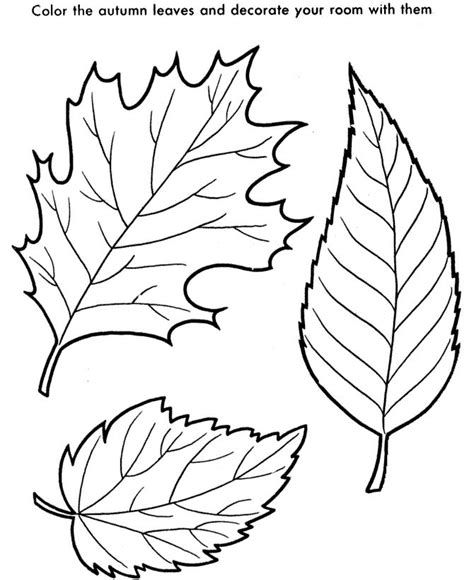 Blank Drawings Of Leafs