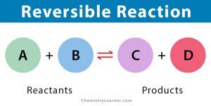 Reversible Reaction: Definition, Conditions, and Examples