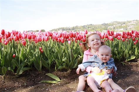 Places to See: Abbotsford Tulip Festival - SavvyMom