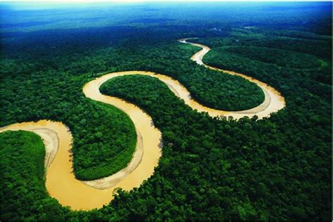 Amazon Rainforest | Unparalleled Biodiversity | Pacaya-Samiria, Tahuayo, Tambopata, Bahuaja ...