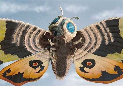 MOTHRA 1964 Kaiju Freaks | Kaiju, King kong skull island, Kaiju art