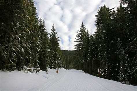 Incredible views make Trillium Lake a classic winter hike on Mount Hood - oregonlive.com