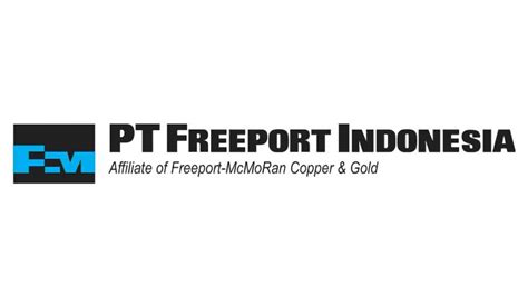 Pengalaman Tes Kerja di PT Freeport Indonesia - Psikotes Dunia Kerja