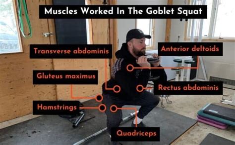 Goblet Squat: How To, Muscles Worked, Pros, Cons