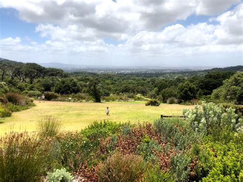 Kirstenbosch Gardens Google Maps | Fasci Garden