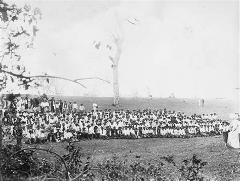 Fraser Coast Libraries Local History Blog: South Sea Islander Labour and the Sugar Industry