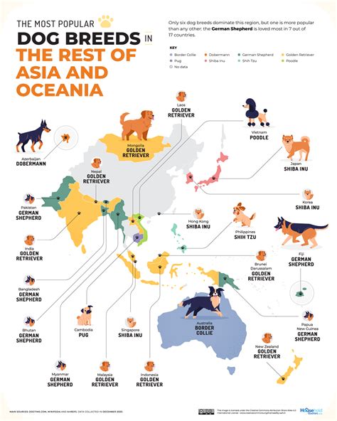 Here is the most popular dog breed in every country - The Global Paw