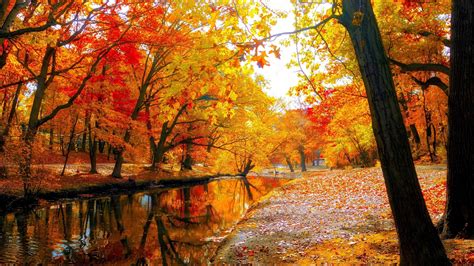 #autumn #fall #landscape #nature #tree #forest #leaf #lake #park #4K # ...