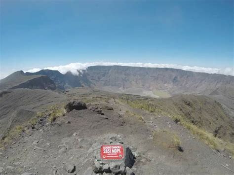 Letusan Gunung Tambora yang Mengubah Wajah Dunia | Tagar