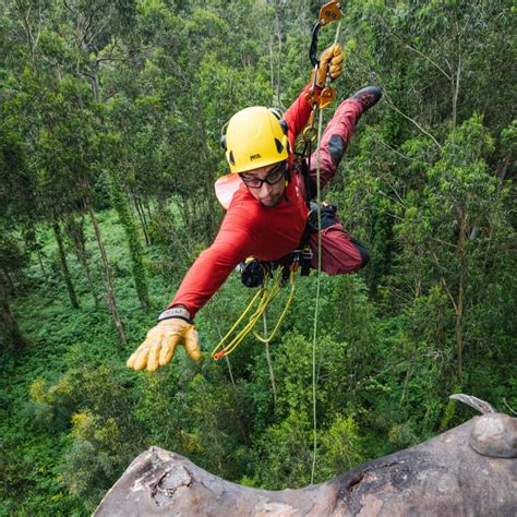 PETZL - Helmet pro