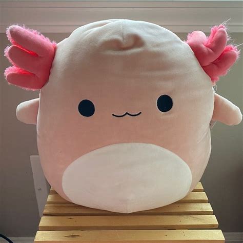 Squishmallow Archie Axolotl 12" | Mercari in 2021 | Kawaii plushies, Cute stuffed animals ...