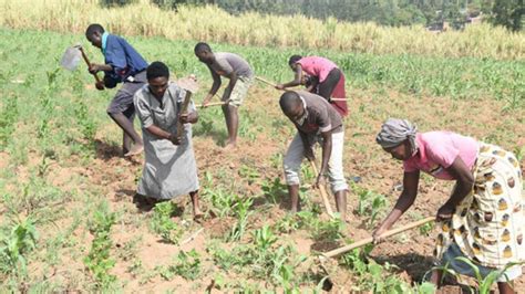 Adapting African agriculture to climate change - The East African