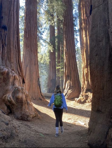 Best Hikes in Sequoia National Park