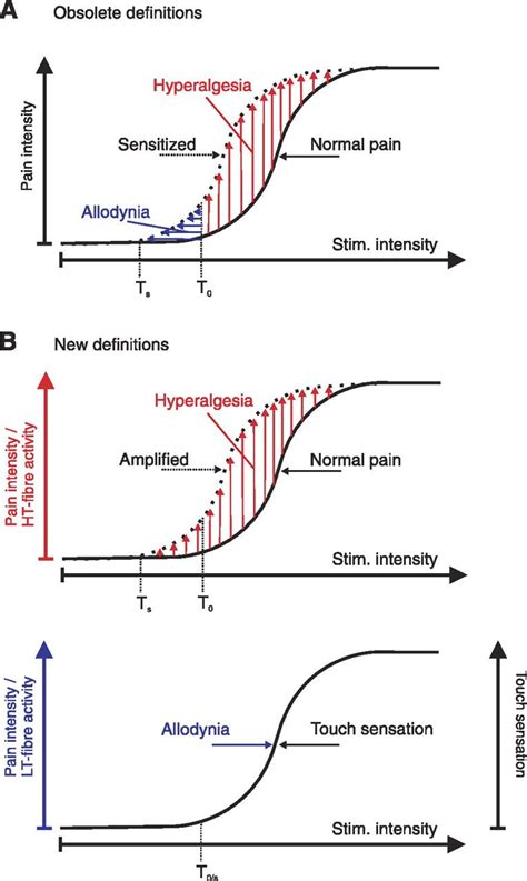 Models and Mechanisms of Hyperalgesia and Allodynia | Physiological ...