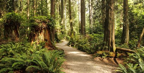 The 5 Best Parks To Experience In Vancouver, BC | TravelAwaits