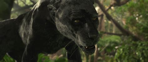 Mowgli-Bagheera 13 by GiuseppeDiRosso on DeviantArt