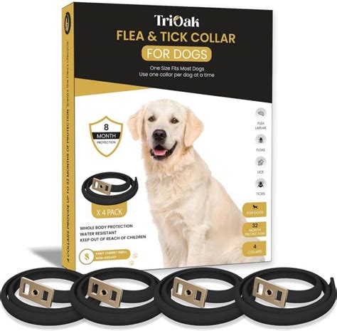 5 Best Tick Collars for Dogs in 2024