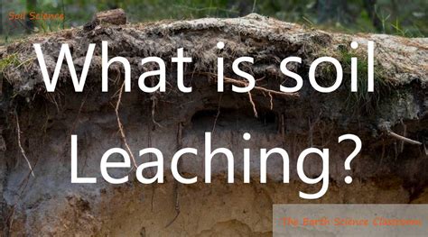 Soil Science: Leaching