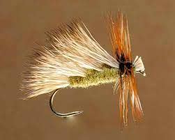 Resultado de imagen para dry flies patterns | Fly fishing, Caddis flies, Fly tying patterns