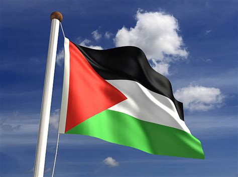 Best Palestinian Flag Stock Photos, Pictures & Royalty-Free Images - iStock