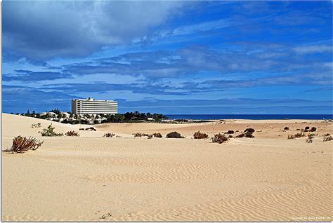 Riu Oliva Beach Resort Foto & Bild | europe, canary islands die kanaren, spain Bilder auf ...