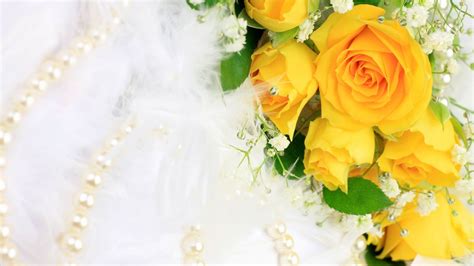 Yellow Rose Wallpapers Images Photos Pictures Backgrounds