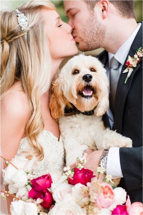 27 The Most Heart-melting Photos of Dogs at Weddings Ever - Page 2