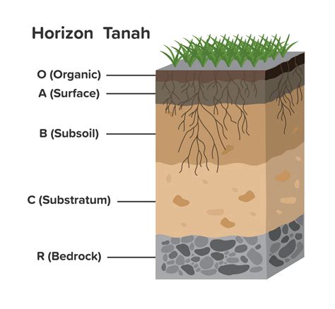 Horizon Tanah - Homecare24