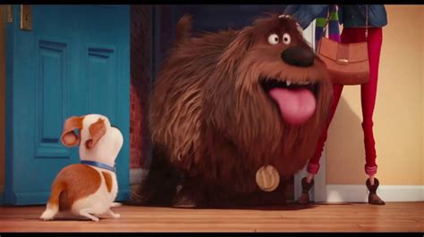 La Vida Secreta de tus Mascotas (The Secret Life of Pets) - Soundtrack, Tráiler - Dosis Media