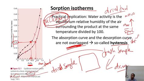 Drying 9. Sorption isotherms and moisture diffusion - YouTube