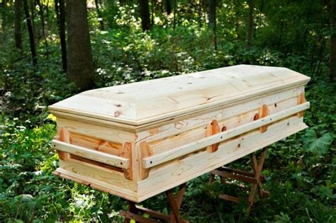 Homemade Casket Designs PDF Woodworking | Wood casket, Casket, Funeral caskets