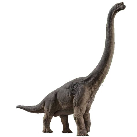 Brachiosaurus Png Jurassic World