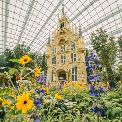 Gardens by the Bay Flower Dome reopens to public on July 11 with timed-entry tickets ...