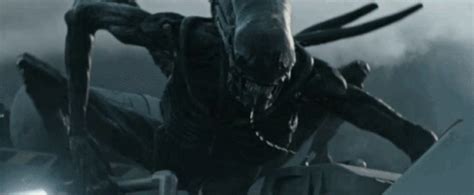 Xenomorph Alien GIF – Xenomorph Alien Covenant – Ищите GIF-файлы и ...