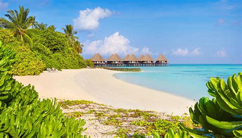 Tropical Beach At Maldives Islands, Ari Photograph by Jan Wlodarczyk ...